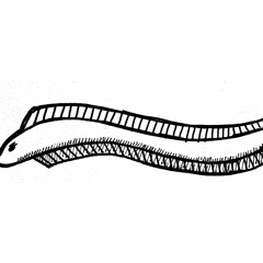 portrait sonore de Didier Macé, pêcheur sur le domaine de Mazerolles