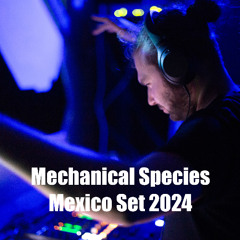 Winter set 2024-2025 Mexican Edition