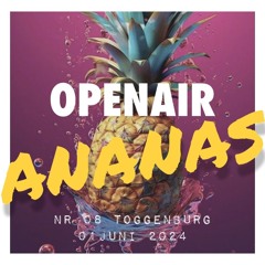 8. Ananas Openair, Juni 2024 (DJ Set)