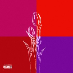 Tulips prod. Gus Chvany