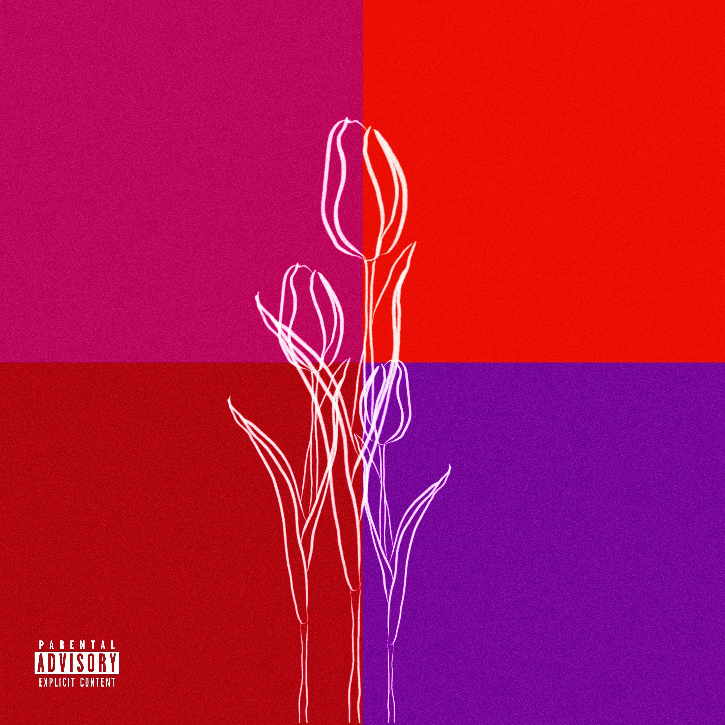 Tulips (Acoustic Version) episode artwork