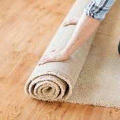 Wall - Carpet