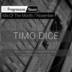 TIMO DICE | 21CPH Mix Of The Month November 2020