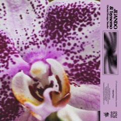 Juando & bynemo - Orchid Design Studio