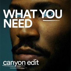 Kaytranada – What You Need (Canyon Edit) [FREE DL]