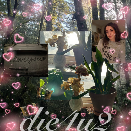 die4u2