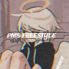 PMS FREESTYLE (prod. Sapfir)