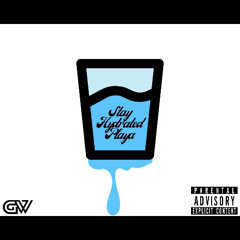 Stay Hydrated Playa (The Anthem)