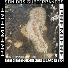 | PREMIERE | Hedchef  - Diamondback Rattlesnake (Birds Remix) | [Feed The Void]