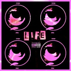 LIFE FEAT P DUTCH