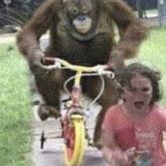 Run monkey run