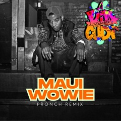 Kid Cudi -Maui Wowie (Pronch Remix)