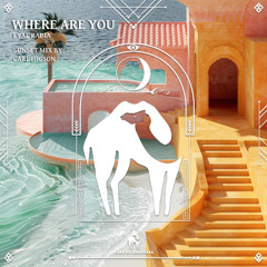 Eyal Rabia - Where Are You (Cafe De Anatolia)