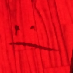 If no one is in this house, where am I.wav