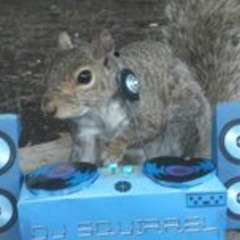 country squirrel prod me