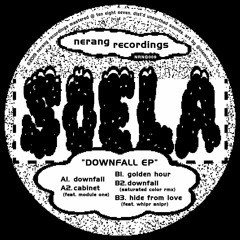 P R E M I E R E // Soela -Downfall (Saturated Color Remix) [Nerang Recordings]