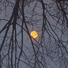 This shiZ going be hard