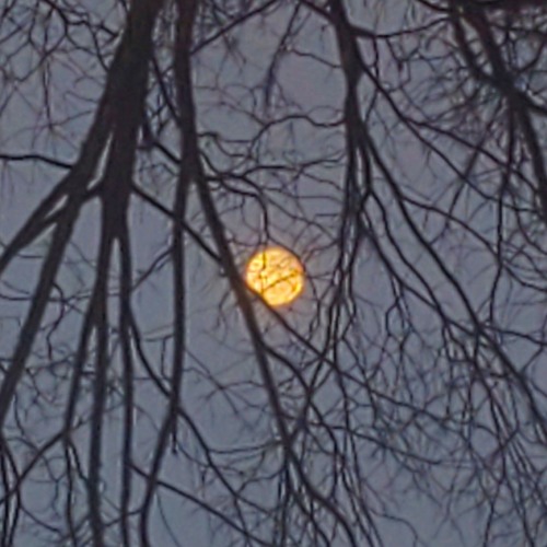 This shiZ going be hard