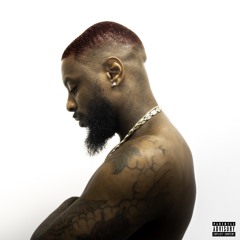 The Bird With No Wings