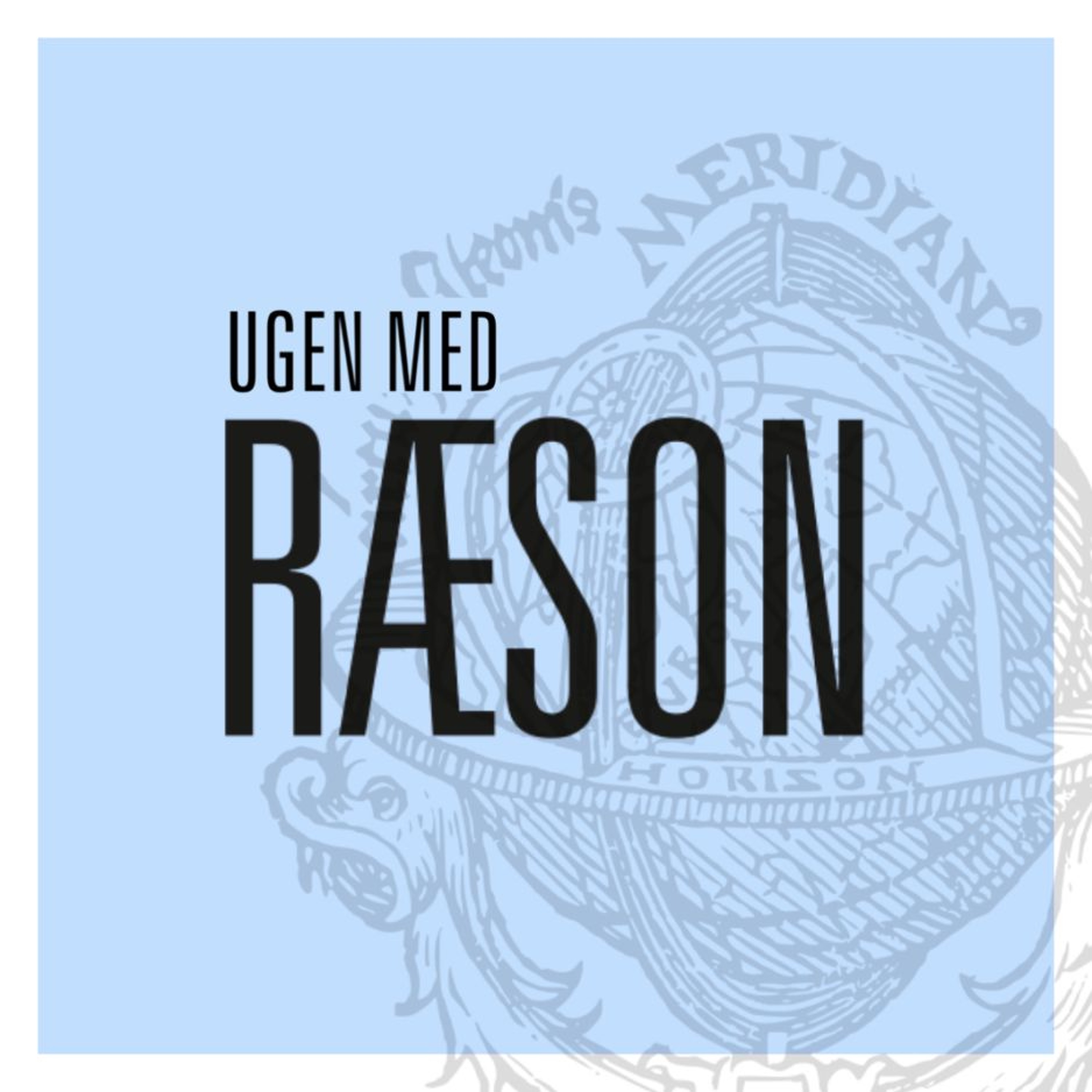 Ugen med RÆSON: Den nye og magtfulde EU-kommission, russisk misinformation og polariseringen i USA episode artwork