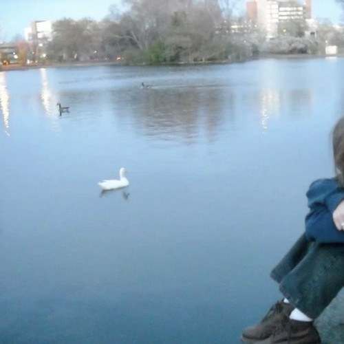 january