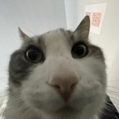 Marty Fire Bitchslap (Ft. Blu, Archer, BuddyArvin, JD, and zumi) (Prod. by calvv1n)