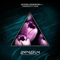 Jason Johnson - Hardest Hue