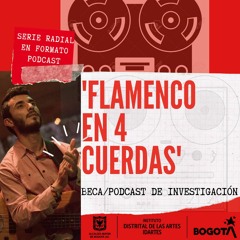 Capítulo 1 Primeras Experiencias, Bogotá Ciudad Flamenca