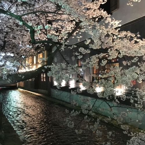 messn wit life ( symelz ) ぴ