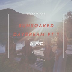 Sunsoaked Dreams (Pt 1) - session 001