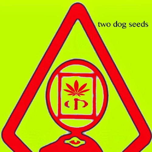 Two Dog Seeds - 06 - 05 - 2022