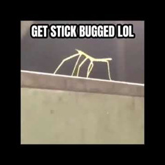 Get Stick Bugged lol