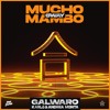 Mucho Mambo (Sway) DJ mix artwork - Electronic music tracklist cover image