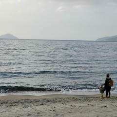 Fukae Beach - 11th January 2024