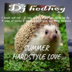 Dj hedhog,,, summer hardstyle love