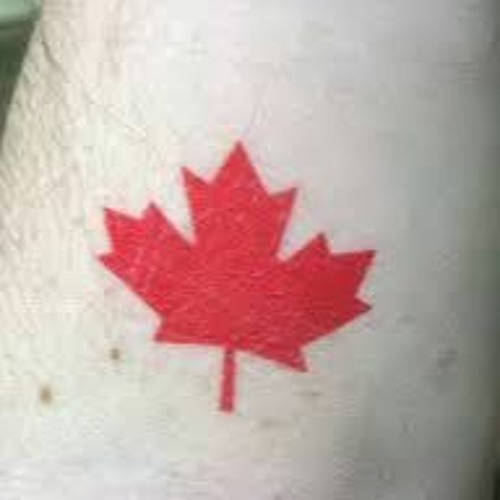 Red Maple Leaf Tattoo Sticker on Man Hand Body Skin Male Prepare for Canada  Day Festival Red Leaf Symbol of Canada Stock Image  Image of closeup  festival 175707535