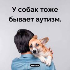 СУПЕР СОБАКИ