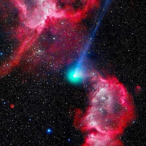 TSSP 17.0 : Pi Cygni