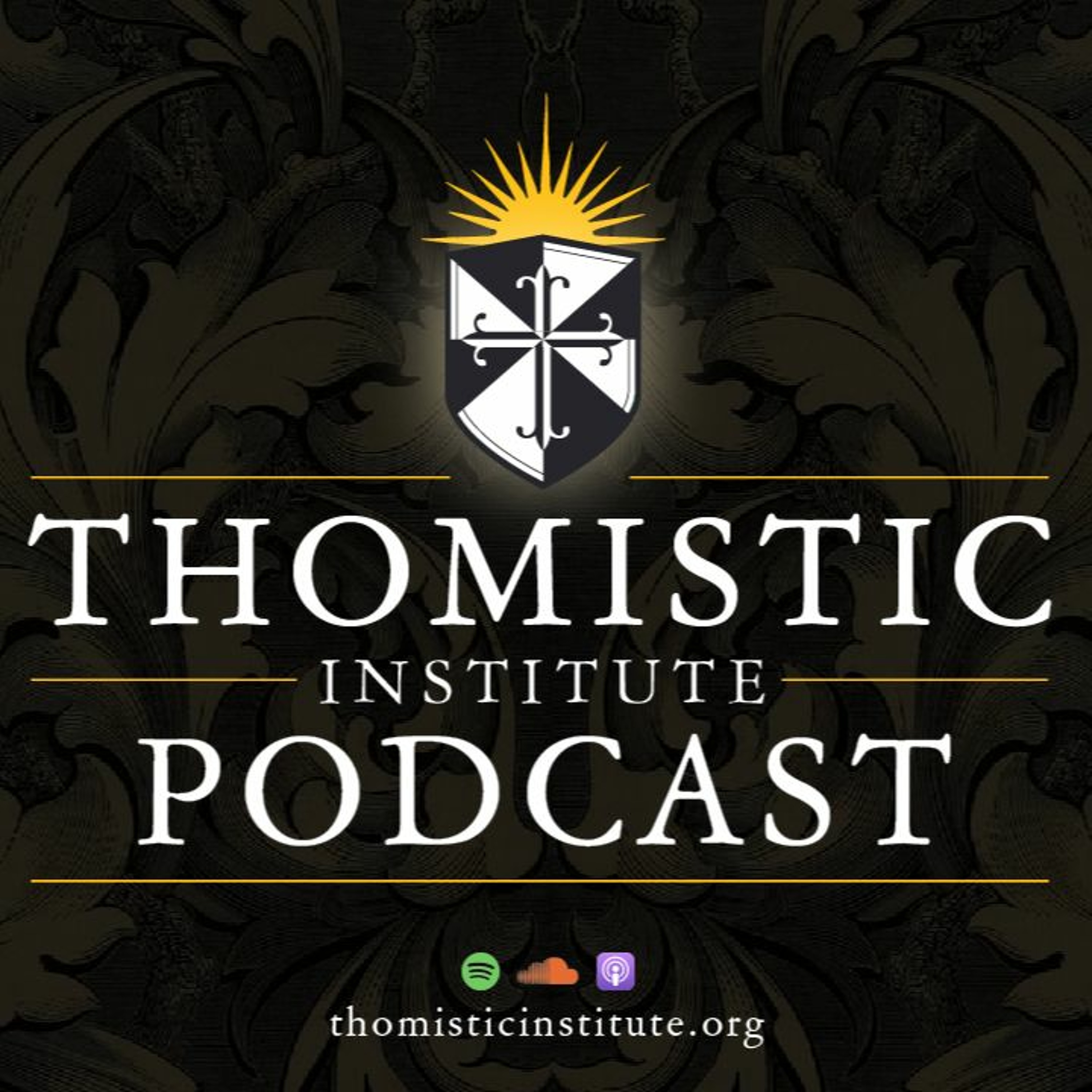 The Role of Positive Human Law According to Aquinas | Fr. Wojciech Giertych, O.P