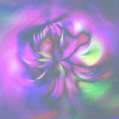 blossom
