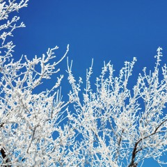 Lounging through the 2020s