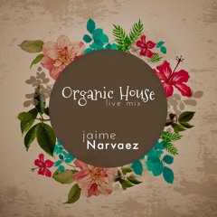 Organic House Live Mix