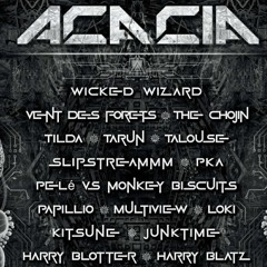 Harry Blotter - Night Time Psy DJ Set  @ Acacia Gathering [Nov 2025 Aussie Bush]