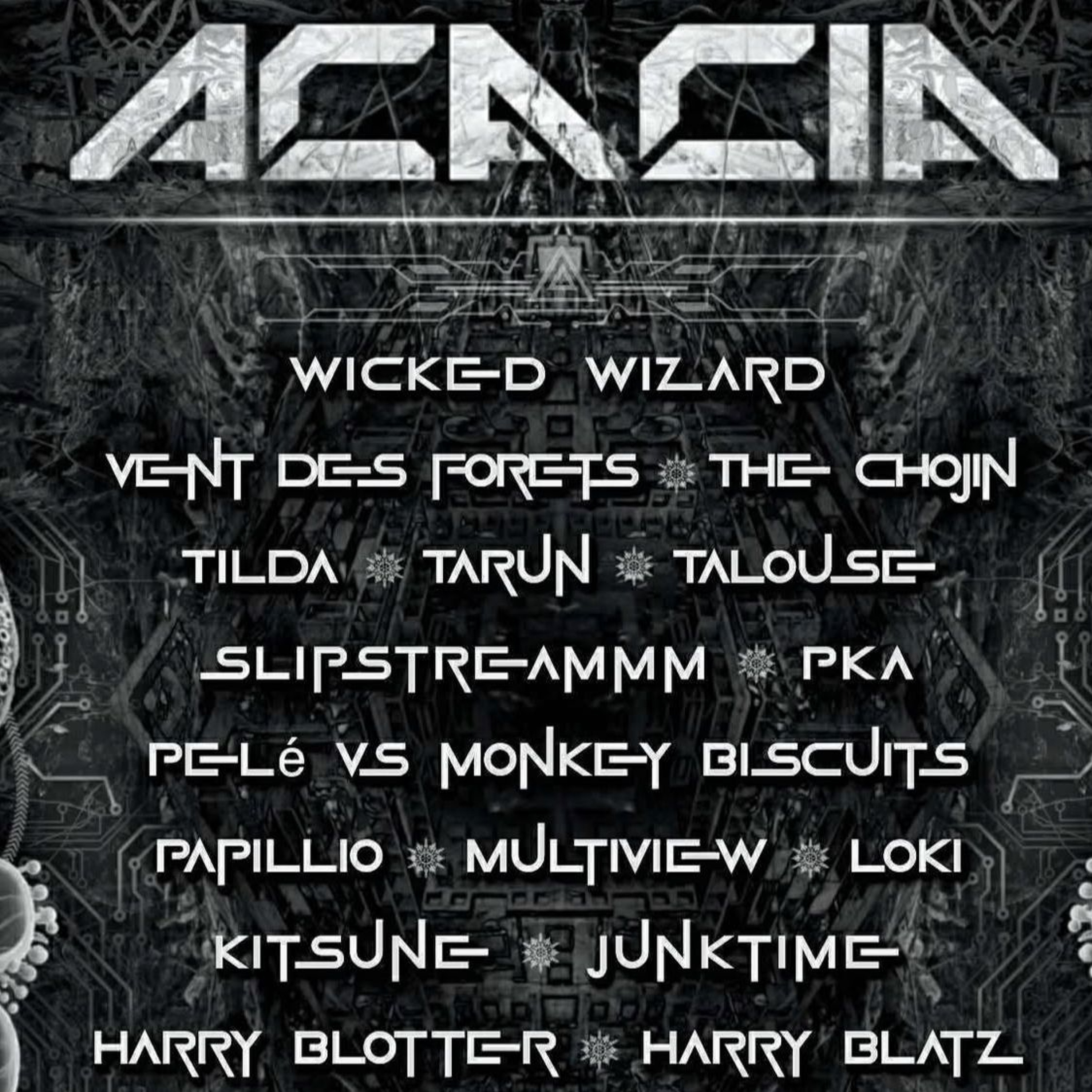 Harry Blotter - Night Time Psy DJ Set  @ Acacia Gathering [Nov 2025 Aussie Bush]