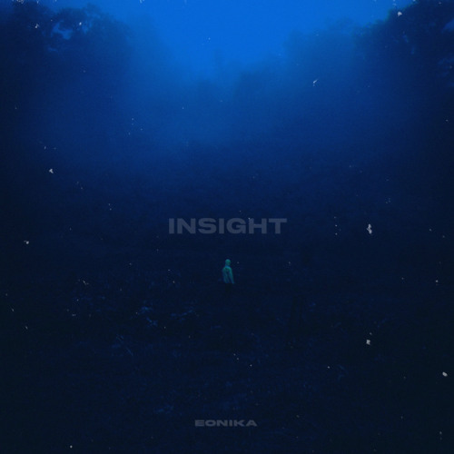 Insight