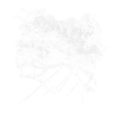 last day december (isense+fleure)