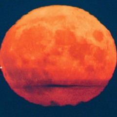 kunta kinte (purnima session) - feat. pushkin dub operator