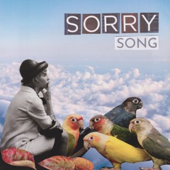 Sorry Song