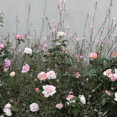 잔잔한 인디 플리