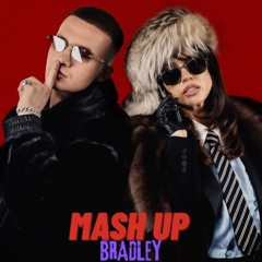 ICEGERGERT  Zivert - Банк - KVPV Queen -(dj bRradley-Mash up)